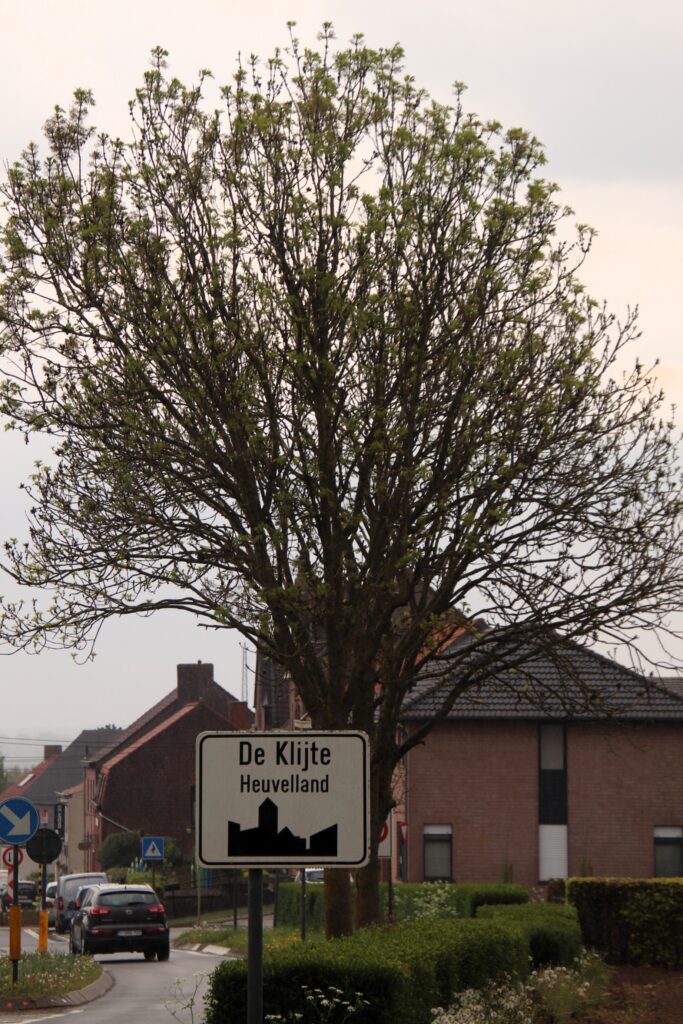 PP2025